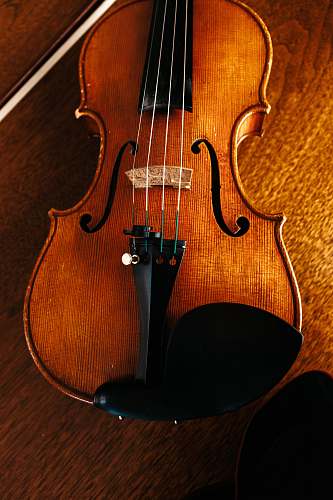 musical instrument brown and black wooden violin violin